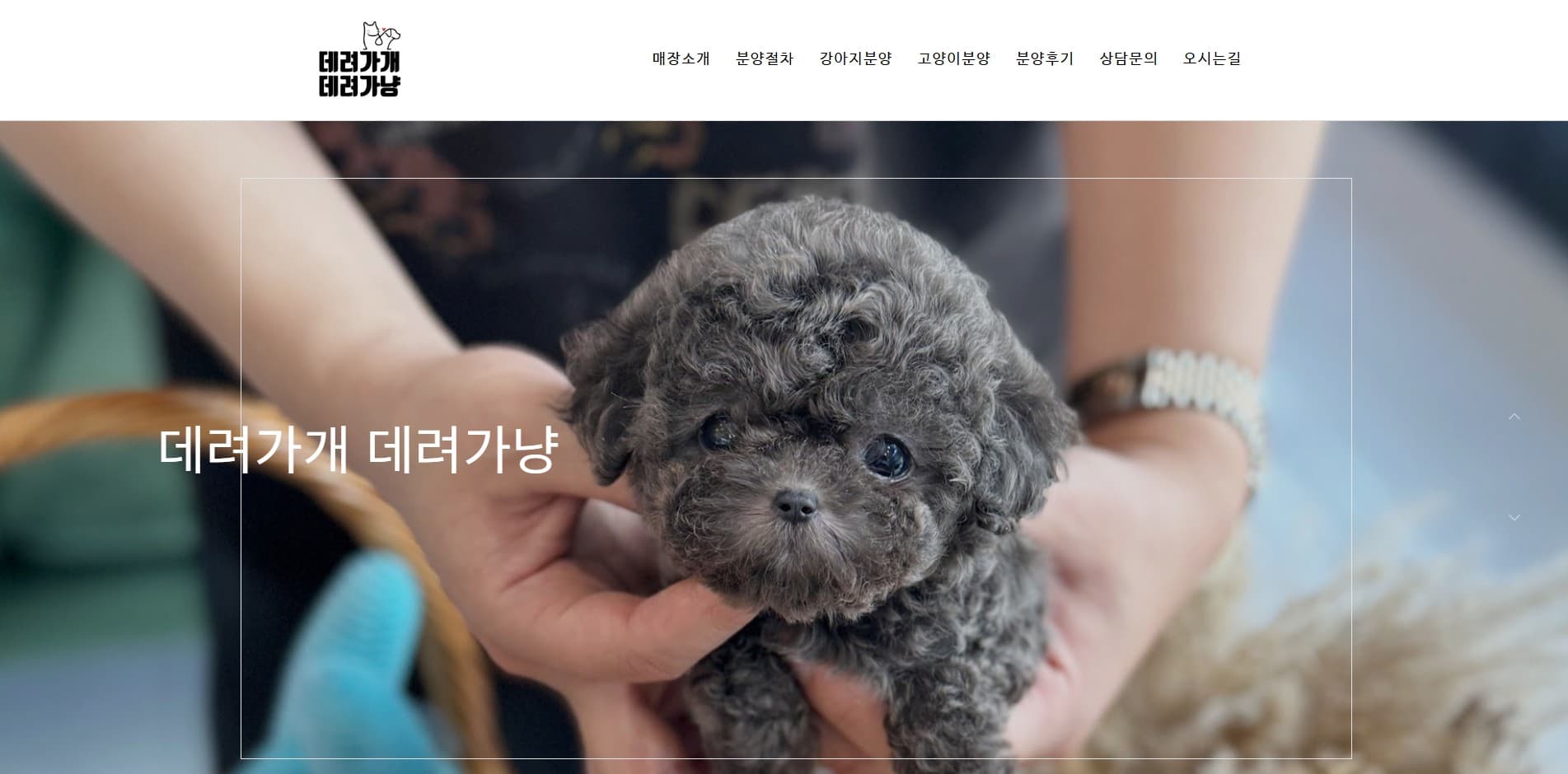 데려가개데려가냥